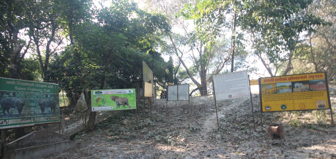 Class 9 Educational Tour to Koshi Tappu Wildlife Reserve